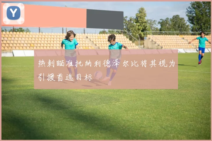 热刺瞄准托纳利德泽尔比将其视为引援首选目标