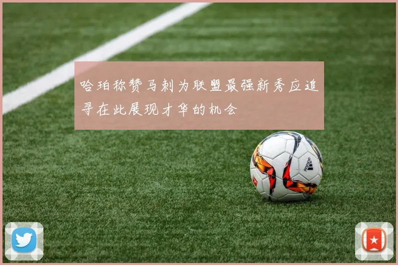 哈珀称赞马刺为联盟最强新秀应追寻在此展现才华的机会